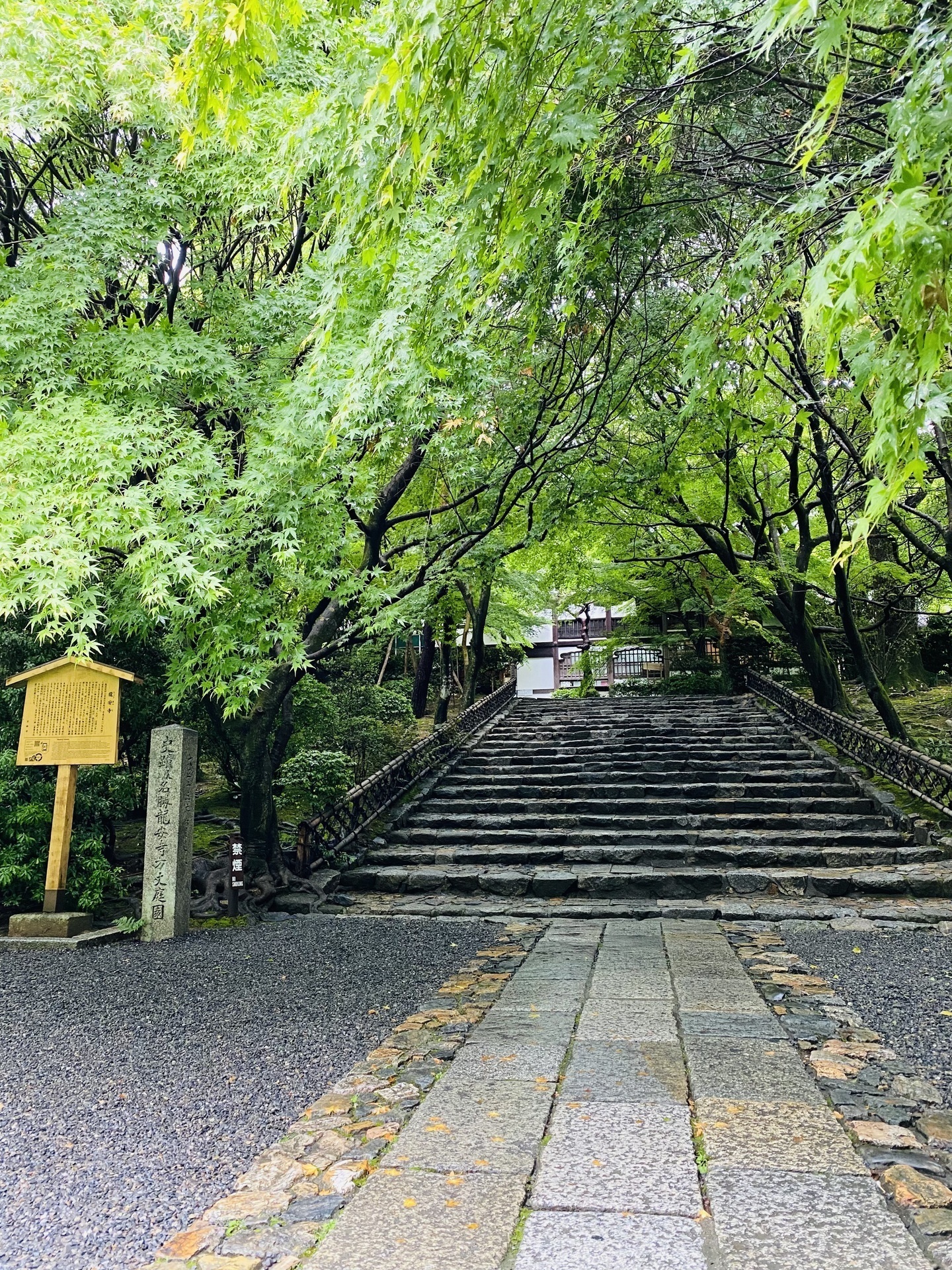 新緑の龍安寺撮影: 京の空、山々、光と花々